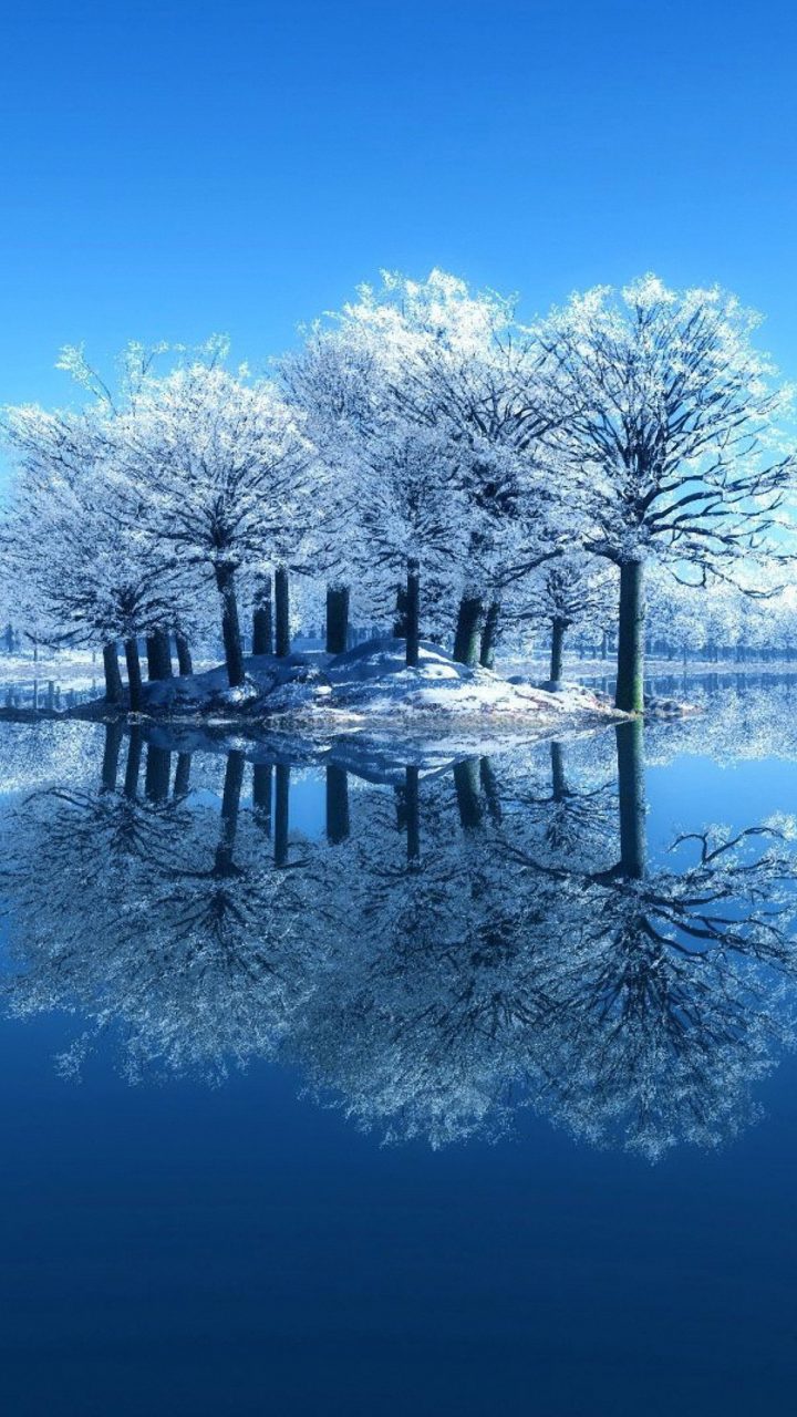 Amazing Snow Tree Reflection خلفيات ايفون بلس iPhone 6 Plus & 7 Plus – صور خلفيات عالية الدقة HD Wallpapers